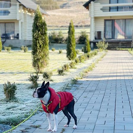 Hotel Чотири Сезони à Izki Extérieur photo