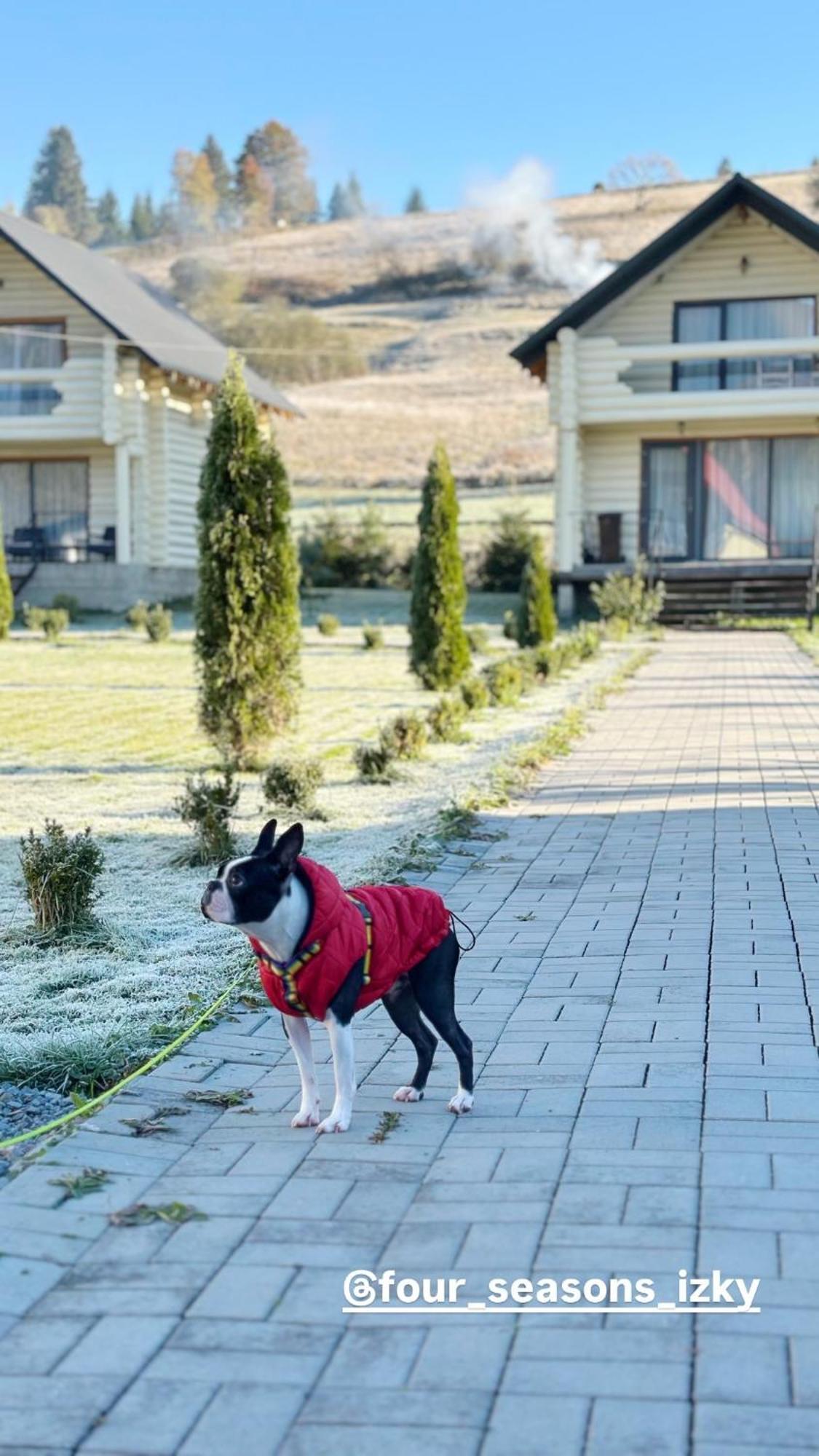 Hotel Чотири Сезони à Izki Extérieur photo